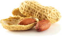 De pineut zijn