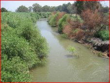 Rivier De Jordaan