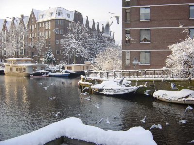 Brouwersgracht